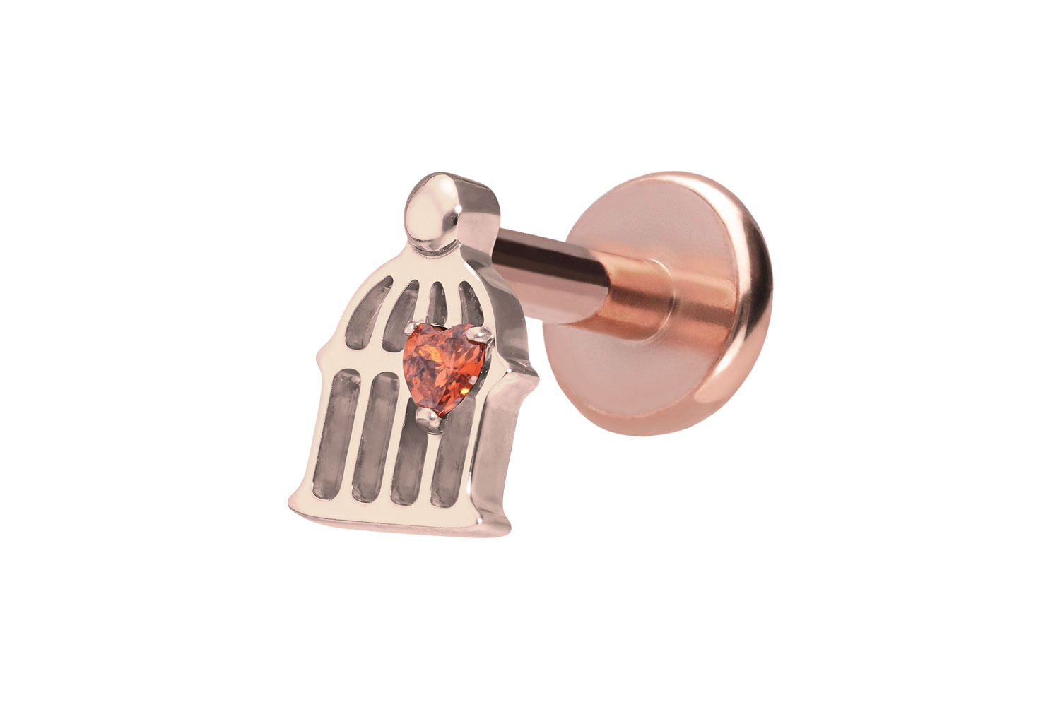 Titan Labret Piercing mit Push Fit KÄFIG